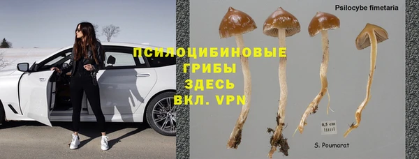 стафф Балабаново