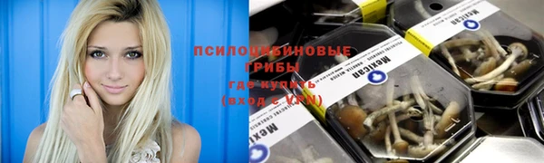 кокс Баксан