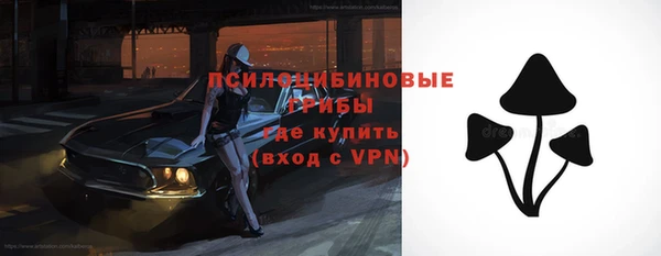 кокс Баксан