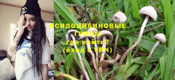 кокс Баксан